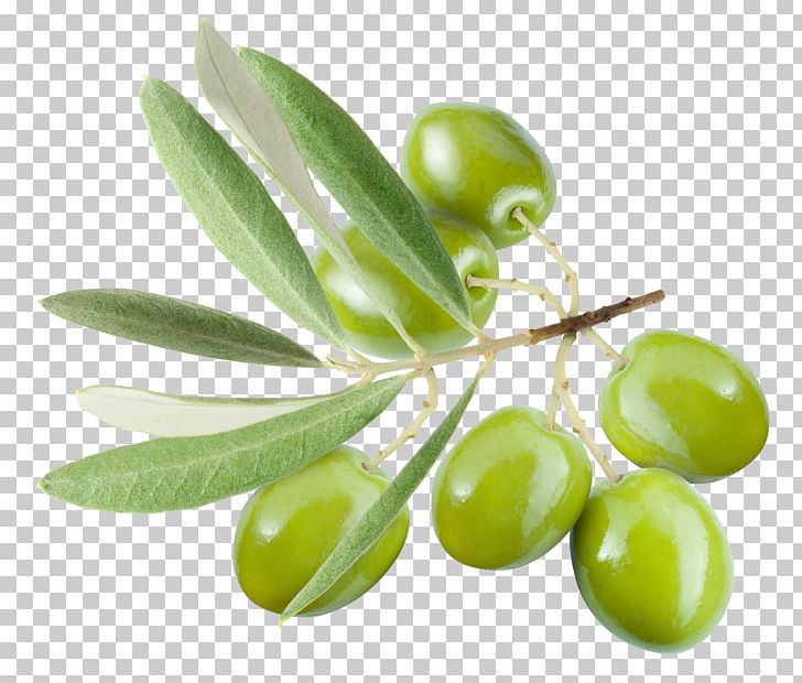 Olive Leaf Olive Oil PNG, Clipart, Arbequina, Black Olive, Extract, Food, Food Drinks Free PNG Download