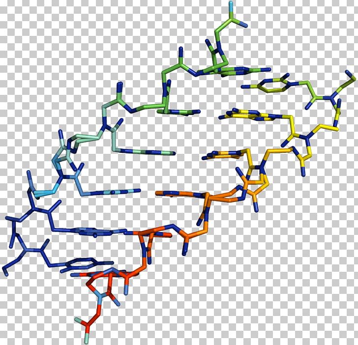 Peptide Nucleic Acid Nucleic Acid Analogue DNA PNG, Clipart, Acid, Area, Artwork, Carboxylic Acid, Diagram Free PNG Download