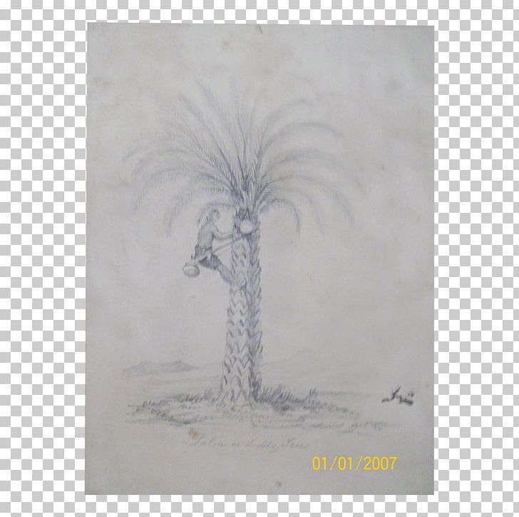 Drawing Painting Stock Photography Tree PNG, Clipart, Artwork, Drawing, M02csf, Painting, Photography Free PNG Download