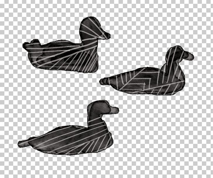 Duck Goose Feather Beak PNG, Clipart, Animals, Beak, Bird, Black And White, Comics Free PNG Download