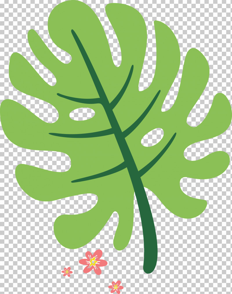 Summer Beach Vacation PNG, Clipart, Beach, Biology, Flower, Green, Hm Free PNG Download