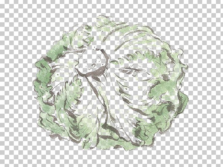 Chinese Cabbage Napa Cabbage Vegetable PNG, Clipart, Cabbage, Download, Endive, Euclidean Vector, Flower Free PNG Download