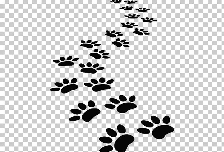 Dog Paw Pet Sitting Cat PNG, Clipart, Animal, Animals, Black, Black And White, Branch Free PNG Download