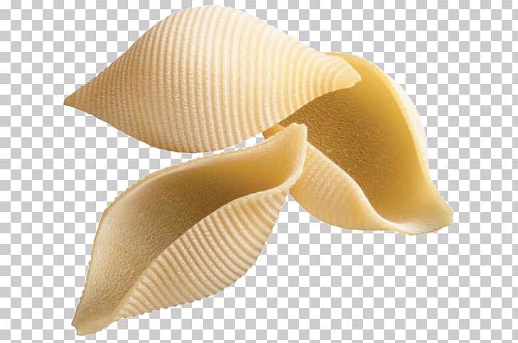 Pasta Conchiglie Stuffing Gragnano Italian Cuisine PNG, Clipart, Animals, Conchiglie, Cooking, Food, Gnocchi Free PNG Download