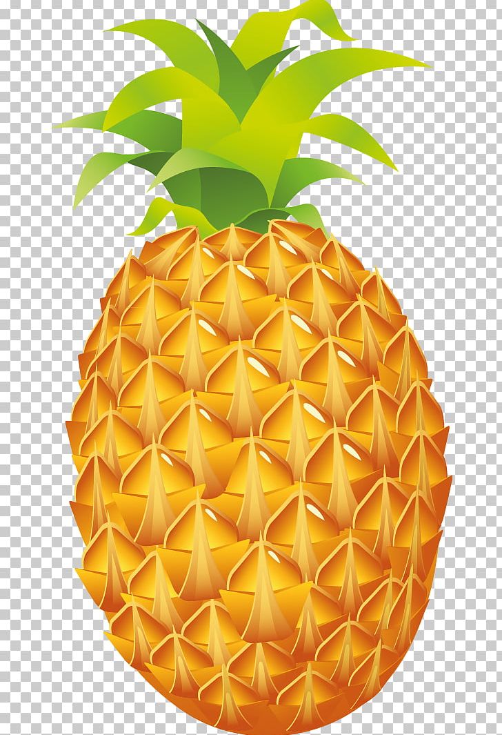 Pineapple Luau Fruit PNG, Clipart, Ananas, Blog, Bromeliaceae, Clip Art, Download Free PNG Download