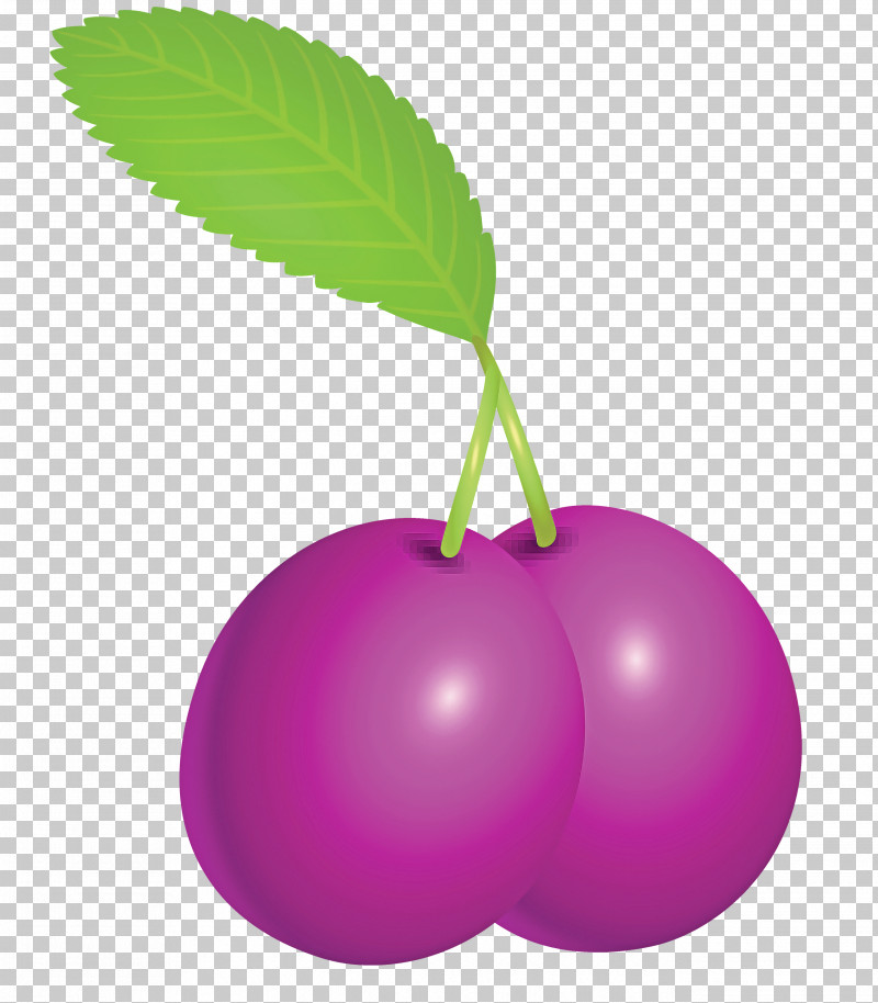 Prune Fruit PNG, Clipart, Berry, Cherry, European Plum, Flower, Food Free PNG Download