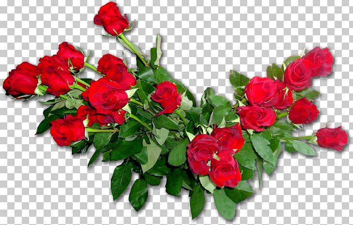 Garden Roses Flower Bouquet Floribunda PNG, Clipart, 2017, Annual Plant, Carnation, Floribunda, Flower Free PNG Download