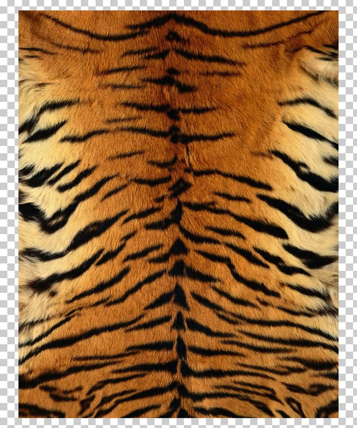 Siberian Tiger Leopard Fur Texture Pattern PNG, Clipart, Animal Print, Big Cats, Carnivoran, Cat Like Mammal, Children Free PNG Download