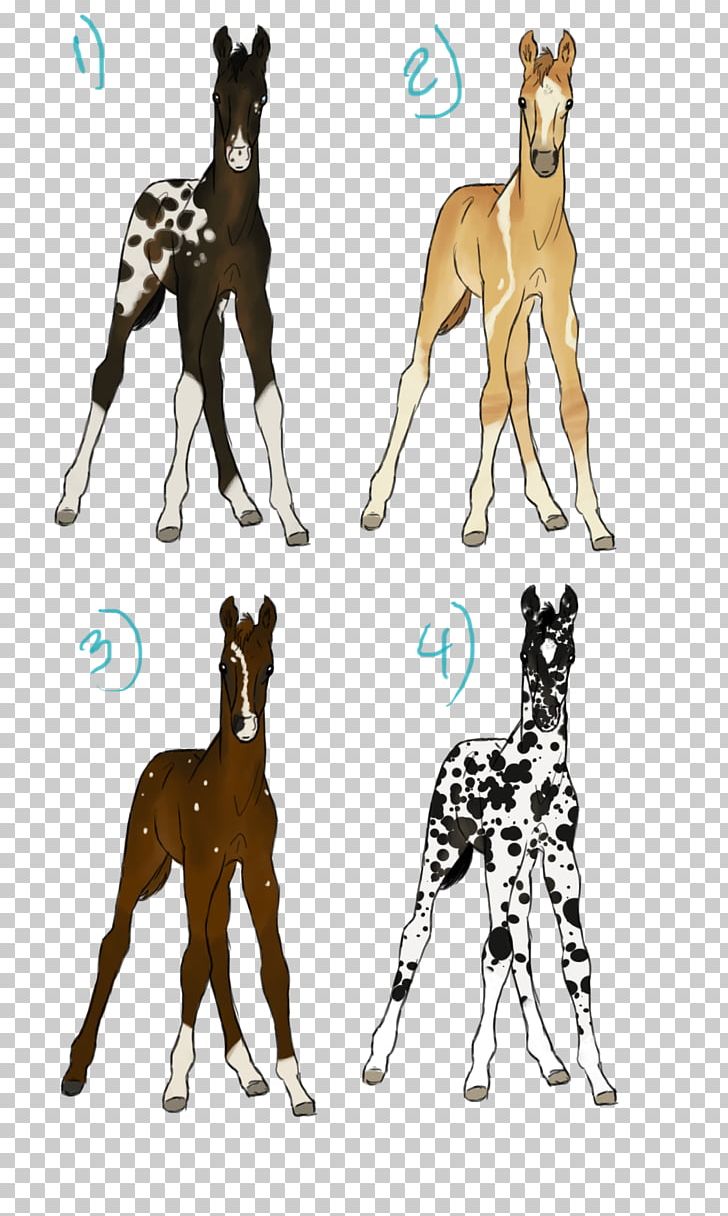 Dog Breed Giraffe Cat Horse PNG, Clipart, Animals, Big Cat, Big Cats, Breed, Carnivoran Free PNG Download