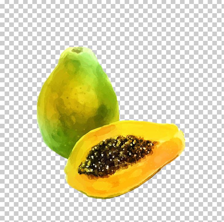 Watercolor Painting Auglis Fruit Illustration PNG, Clipart, Animation, Auglis, Cartoon Papaya, Drawing, Food Free PNG Download