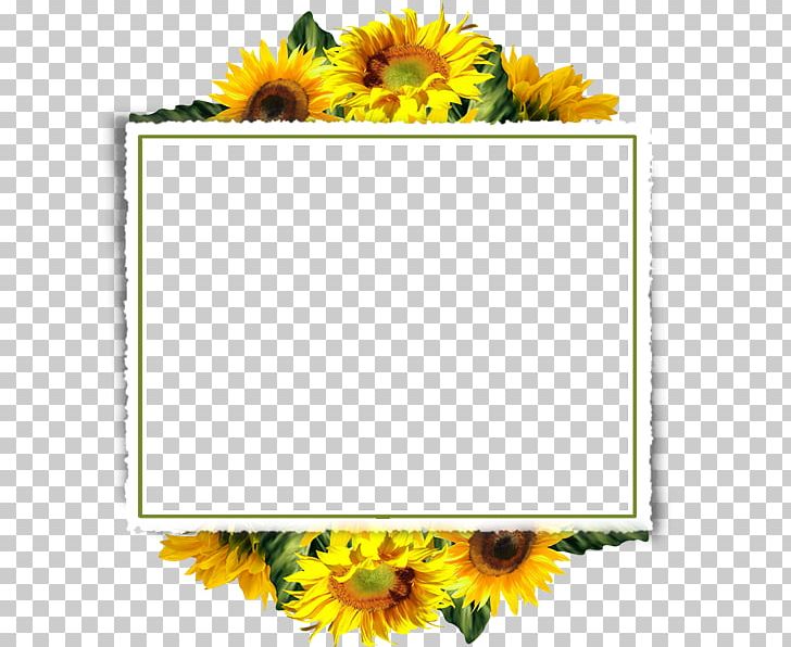 Common Sunflower Frames PNG, Clipart, Art, Common Sunflower, Cut Flowers, Daisy Family, Decoupage Free PNG Download