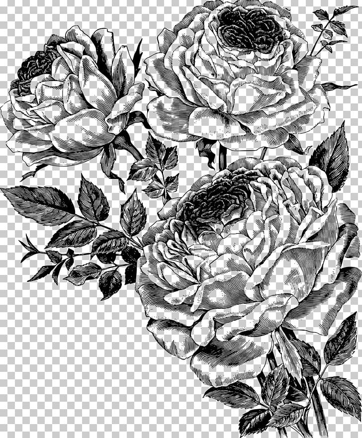 Drawing Flower PNG, Clipart, Art, Artwork, Black And White, Drawing, Encapsulated Postscript Free PNG Download