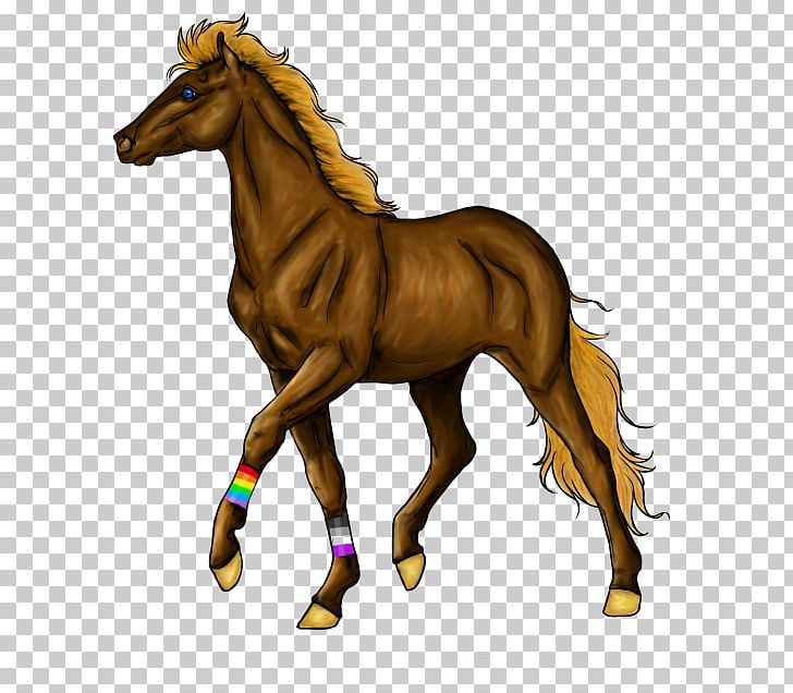 Mane Foal Pony Mustang Halter PNG, Clipart, Animal Figure, Artist, Black Pearl, Bridle, Colt Free PNG Download