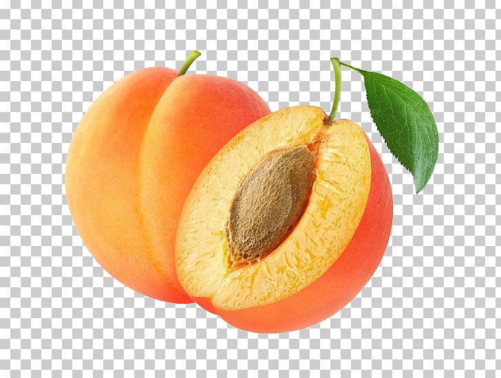 Apricot Kernel Amygdalin Fruit Almond PNG, Clipart, Almond, Amygdalin, Apple, Apple Seed Oil, Apricot Free PNG Download