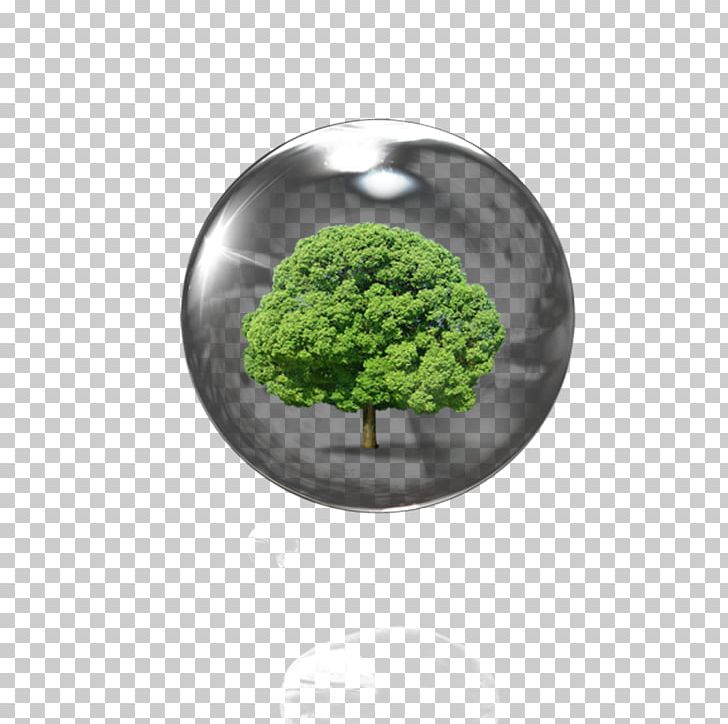 Tree Branch Environmental Grass PNG, Clipart, Adobe Illustrator, Ball, Christmas Ball, Christmas Tree, Coconut Tree Free PNG Download