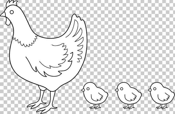 Chicken Drawing PNG, Clipart, Animals, Area, Art, Artwork, Beak Free PNG Download