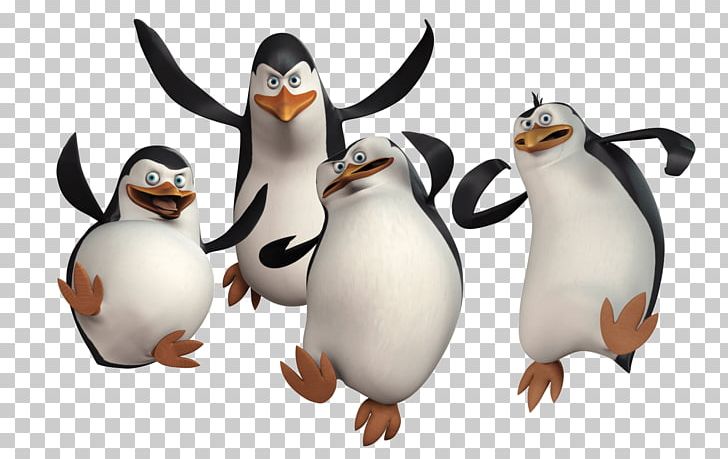 Penguin Madagascar DreamWorks Animation PNG, Clipart, Akitainu, Animallover, Animals, Animation, Beak Free PNG Download