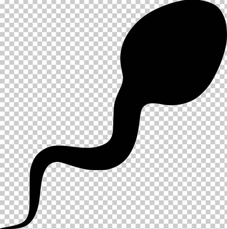 Sperm Semen PNG, Clipart, Black And White, Cdr, Clip Art, Computer Graphics, Computer Icons Free PNG Download