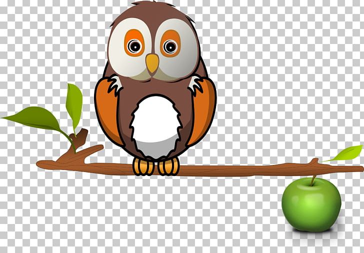 Branch Owl Tree PNG, Clipart, Animals, Beak, Bird, Bird Of Prey, Branch Free PNG Download
