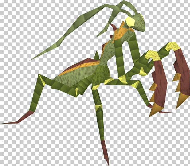 Insect European Mantis Animal PNG, Clipart, Animal, Animals, Art, Arthropod, Creative Arts Free PNG Download