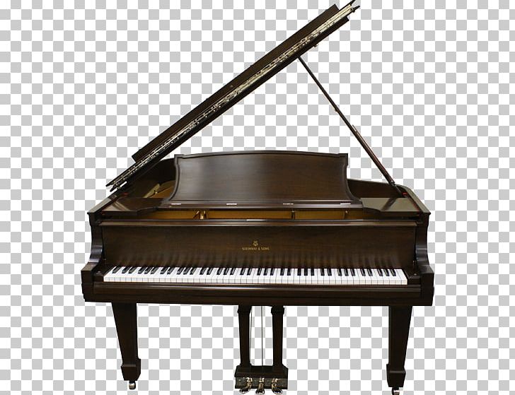 Digital Piano Steinway & Sons Electric Piano Grand Piano PNG, Clipart, Amp, Digital Piano, Electric Piano, Electronic Instrument, Fortepiano Free PNG Download