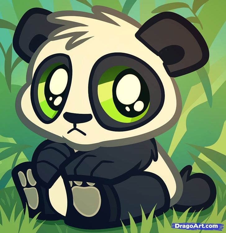 Giant Panda Baby Pandas Red Panda Bear Drawing PNG, Clipart, Big Cats,  Carnivoran, Cartoon, Cat Like