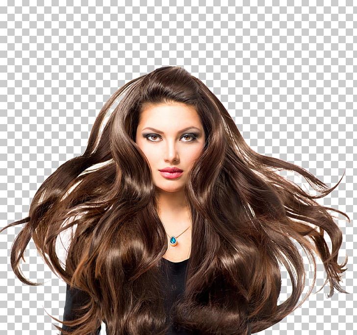 Hair Care Beauty Parlour Brown Hair Artificial Hair Integrations PNG, Clipart, Artificial Hair Integrations, Beauty, Beauty Parlour, Black Hair, Brown Hair Free PNG Download
