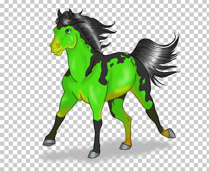 Mustang Stallion Halter Pack Animal PNG, Clipart,  Free PNG Download