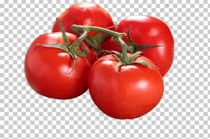 Ratatouille Food Plum Tomato Cherry Tomato PNG, Clipart, Amp, Apple, Bush Tomato, Cherry Tomato, Deli Free PNG Download