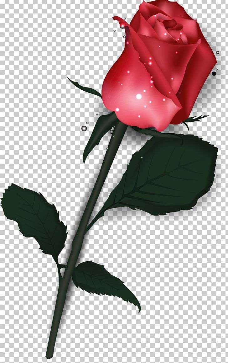 Rose Valentine's Day Heart Poster PNG, Clipart, Bud, Cut Flowers, Desktop Wallpaper, Flora, Flower Free PNG Download