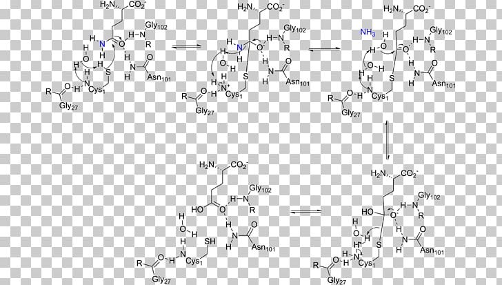 Amidophosphoribosyltransferase Glutamine Amidotransferase Phosphoribosyl Pyrophosphate Glutaminase Enzyme PNG, Clipart, Adenosine Triphosphate, Amidophosphoribosyltransferase, Angle, Area, Auto Part Free PNG Download