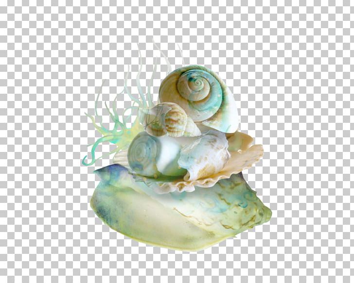 Seashell Mussel Oyster Marine PNG, Clipart, 2016, Animals, Beach, Bivalvia, Elfida Free PNG Download