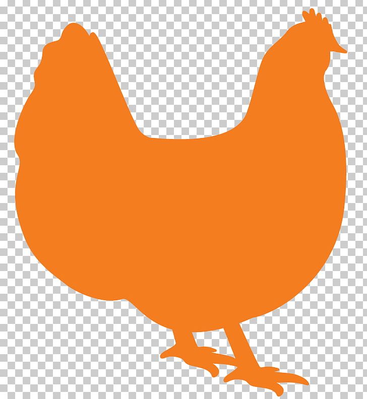 Rooster Orpington Chicken Cornish Chicken Broiler Poultry PNG, Clipart, Animal Figure, Beak, Bird, Broiler, Chicken Free PNG Download