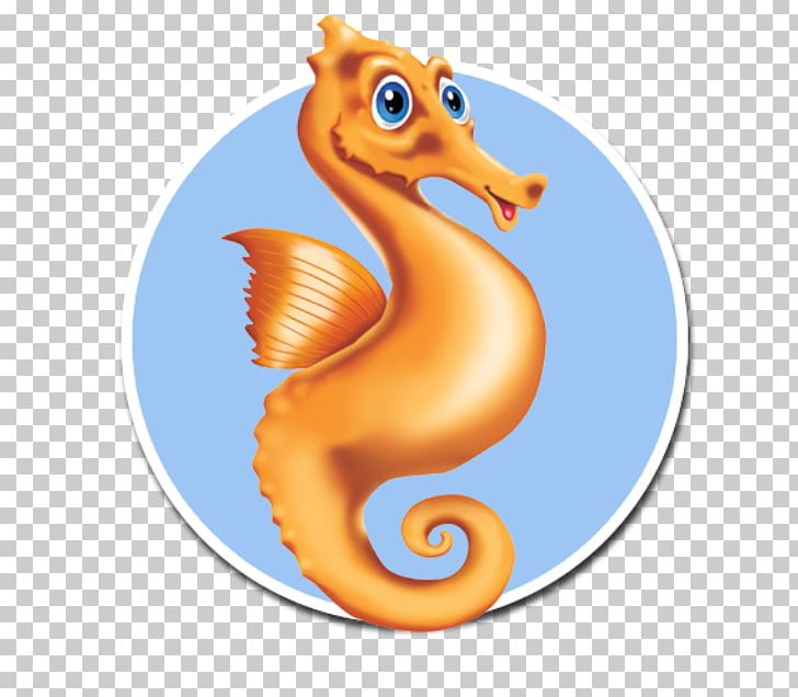 Seahorse Houston Swim Club Learning Swimming Lessons PNG, Clipart, Animals, Experience, Fish, Houston, Learning Free PNG Download