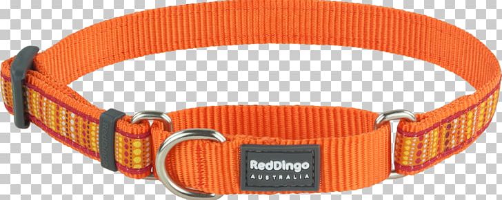 Dog Collar Dog Collar Dingo Martingale PNG, Clipart, Animals, Choker, Cimb, Collar, Dingo Free PNG Download