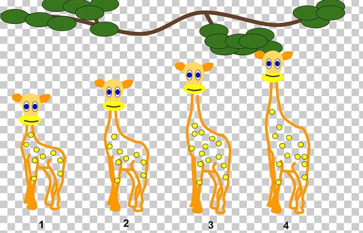 Giraffe Lamarckism Organism Evolution PNG, Clipart, Animal, Animal Figure, Animals, Area, Body Jewelry Free PNG Download