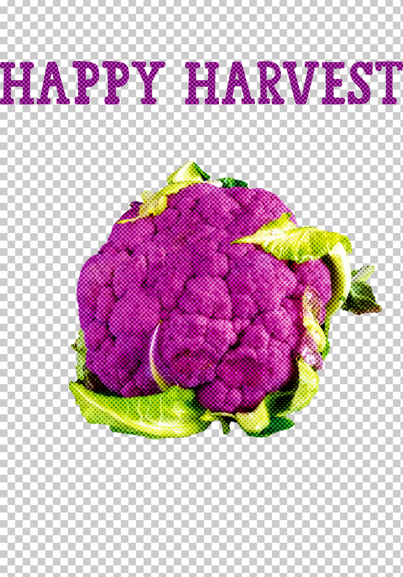 Happy Harvest Harvest Time PNG, Clipart, Broccoli, Brussels Sprout, Cauliflower, Chili Pepper, Cooking Free PNG Download