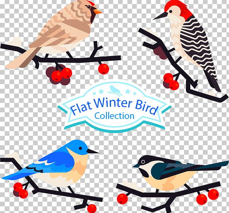 Bird Parrot Feather PNG, Clipart, Animals, Art, Artwork, Beak, Bird Cage Free PNG Download
