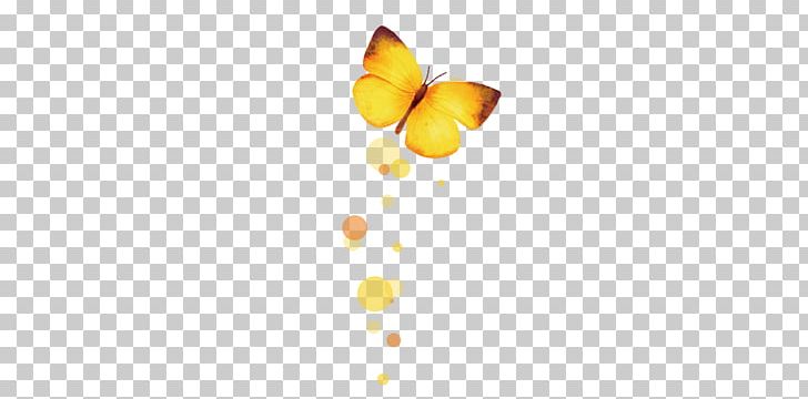 Yellow Pattern PNG, Clipart, Blue Butterfly, Butterflies, Butterfly, Butterfly Group, Butterfly Wings Free PNG Download