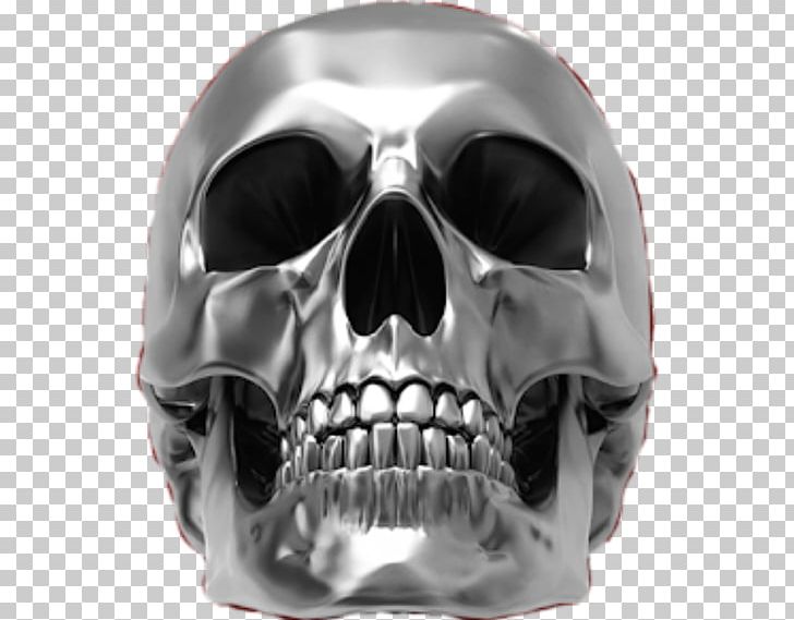 Skull Bone Human Skeleton Metal PNG, Clipart, 3d Computer Graphics, Anatomy, Bone, Chrome, Decal Free PNG Download