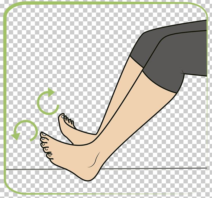 Thumb Foot Shoe Calf Ankle PNG, Clipart, Abdomen, Ankle, Area, Arm, Calf Free PNG Download