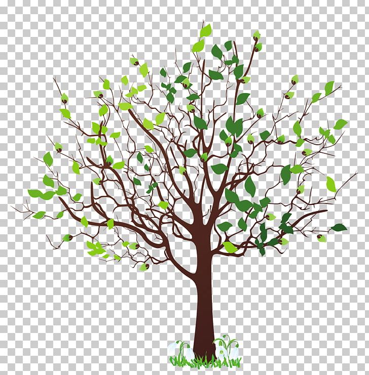 Tree PNG, Clipart, Branch, Brown Branch, Drawing, Flower, Flowerpot Free PNG Download