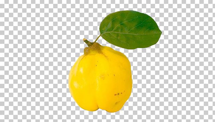 Quince Fruit Auglis Juice Vegetable PNG, Clipart, Auglis, Ayva, Bell Peppers And Chili Peppers, Citron, Citrus Free PNG Download