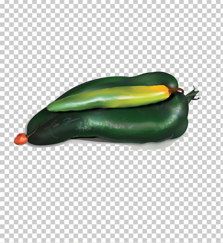 Serrano Pepper Bell Pepper Pasilla Chili Pepper PNG, Clipart, Background Green, Bell Pepper, Bell Peppers And Chili Peppers, Capsicum Annuum, Chili Free PNG Download
