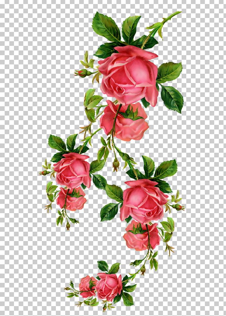 Still Life: Pink Roses Garden Roses PNG, Clipart, Azalea, Branch, Cut Flowers, Decoupage, Floral Design Free PNG Download