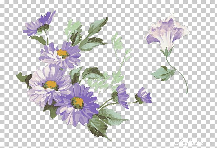 Flower Watercolor Painting Plate-bande PNG, Clipart, Annual Plant, Aster, Chrysanths, Color, Cut Flowers Free PNG Download