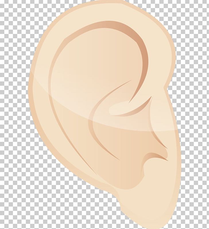 Ear Cheek Jaw Nose PNG, Clipart, Beige, Cheek, Circle, Colavita Visual Dominance Effect, Ear Free PNG Download