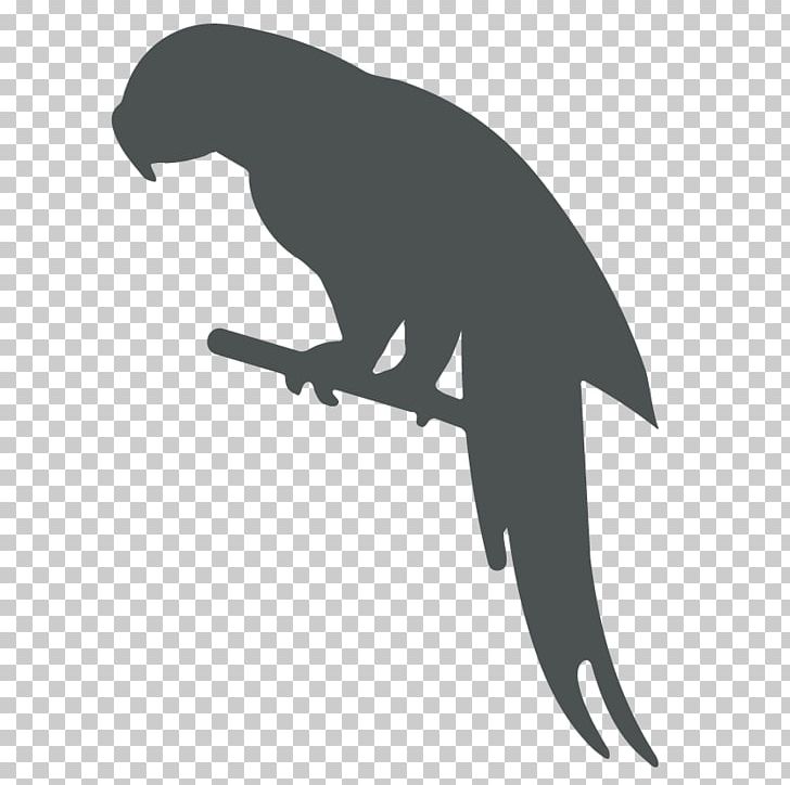 Parrot Bird Computer Icons Silhouette PNG, Clipart, Animals, Beak, Bird, Black And White, Clip Art Free PNG Download