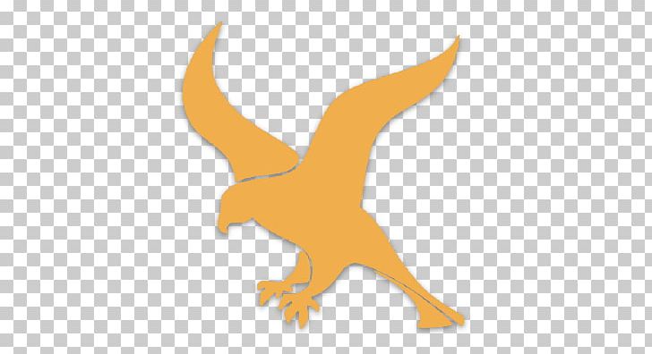 Web Framework Logo Falcon Software Framework Beak PNG, Clipart, Animal Figure, Animals, Api, Beak, Bird Free PNG Download