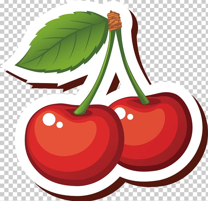 Cherry Cartoon PNG, Clipart, Cherry, Diet Food, Download, Drawing, Elements Free PNG Download